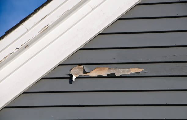 Best Vinyl Siding Installation  in North East, MD